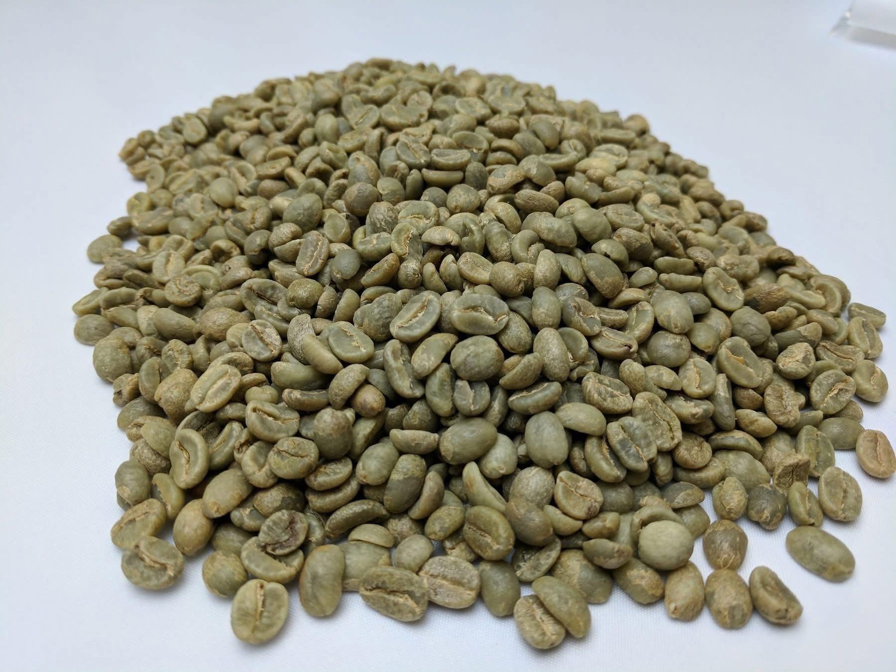Discover the top 6 Green Coffee suppliers in South Africa - 8
