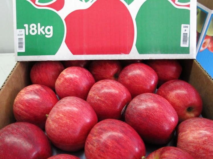 Fresh red delicious apples