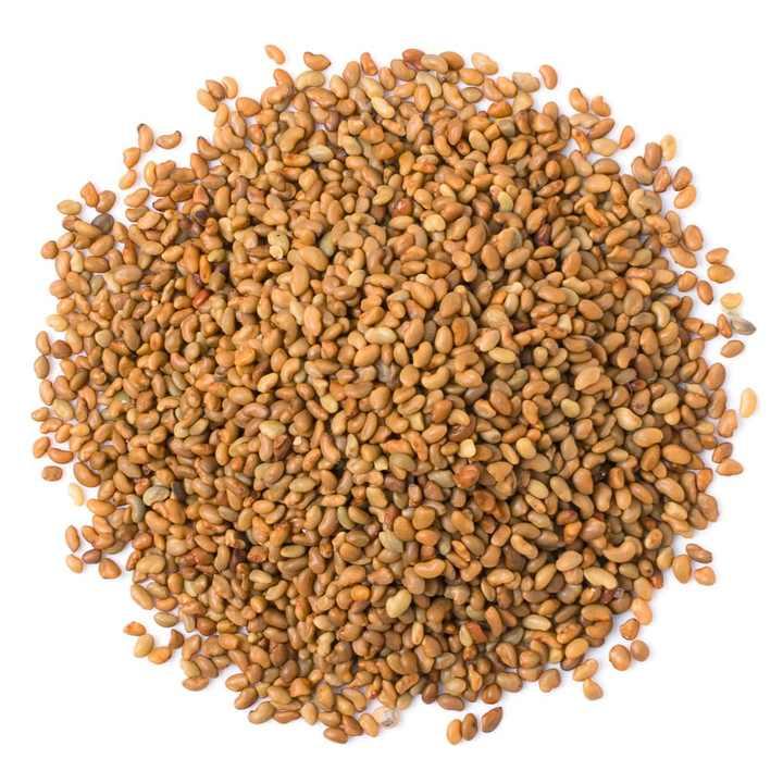 Certified Alfalfa Seed for Bulk Sale – High Yield, Nutrient Rich, Non-GMO Seed for Forage Production, Cover Crops, Sprouting, and Commercial Farming
