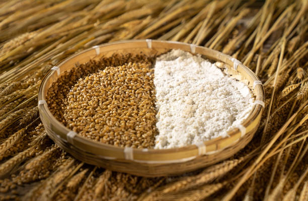 Top 10 Wheat Flour Suppliers in France in July 2025