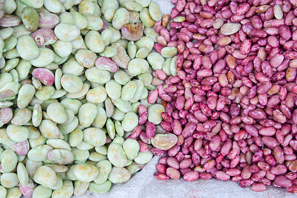 Your Expert Guide to Procuring Top-Tier Beans: Top 10 Beans Suppliers in Bangladesh in Year 2025