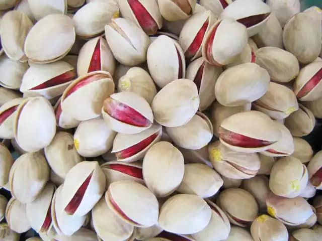 Pistachio Nut Image 2
