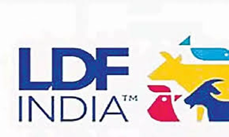 Why Attend LDF INDIA? B2B Intro