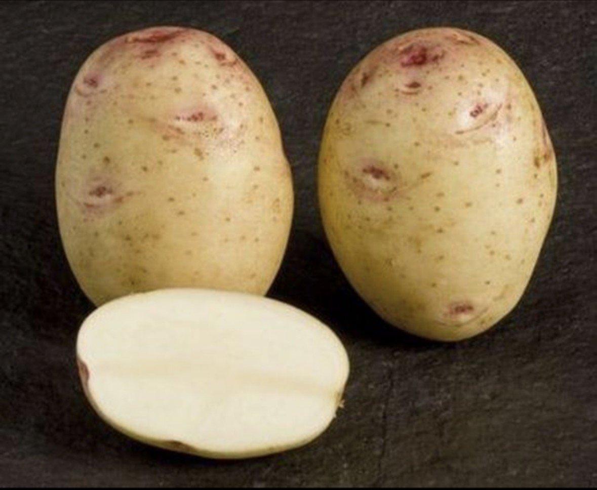 Potato Kara