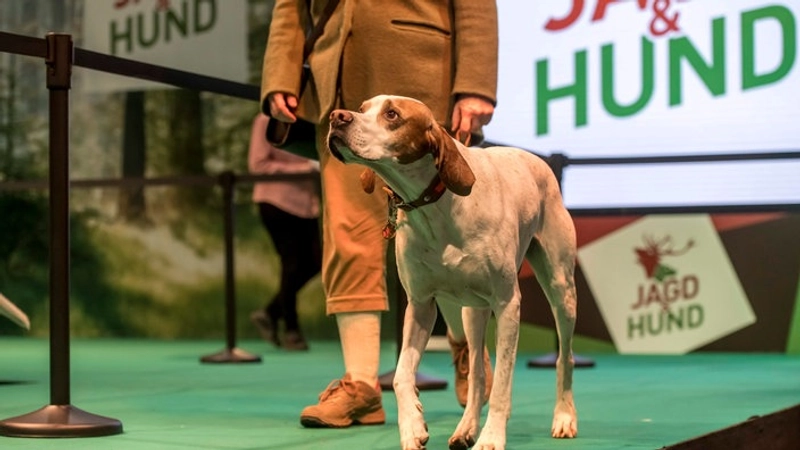 Discover Jagd And Hund: B2B Event Guide - 1