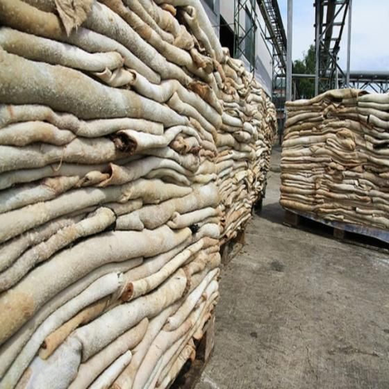 ABOLLEJI SIA – A multi-sector supplier from Latvia, specializing in agriculture, food, beverages, and FMCG products, has recently upgraded to the Advance Plan and is now fully Verified on Freshdi!