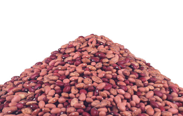 Top 7 Beans Suppliers in Netherlands in Year 2025
