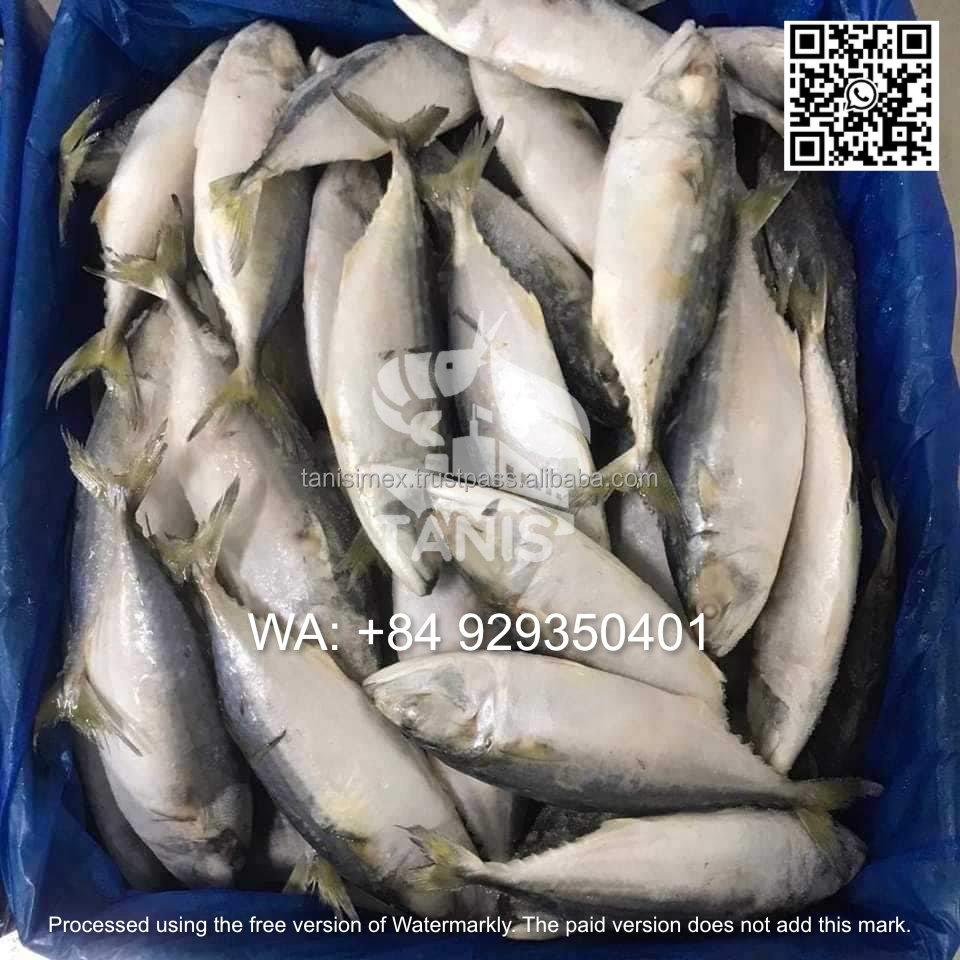 97031071364240fd902fad413126630c
