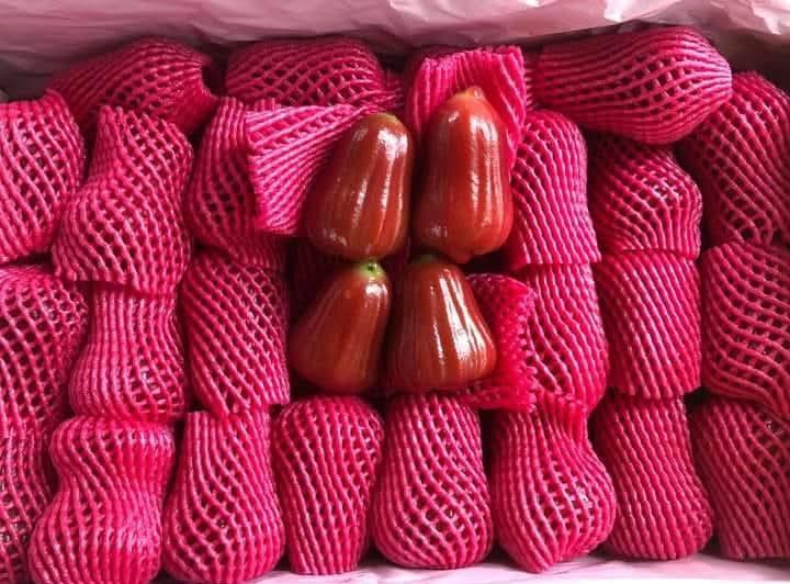 Rose Apple Grade A Texture Crisp Packaging 500g Type Rose Apple Shape Bell Shape Color Pink To Red Flavor Sweet And Juicy