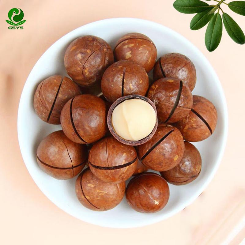 Premium Macadamia Nuts |Premium Macadamia Kernels|Extra Virgin Macadamia Oil & Refined  | Bulk Macadamia Nuts & Kernels