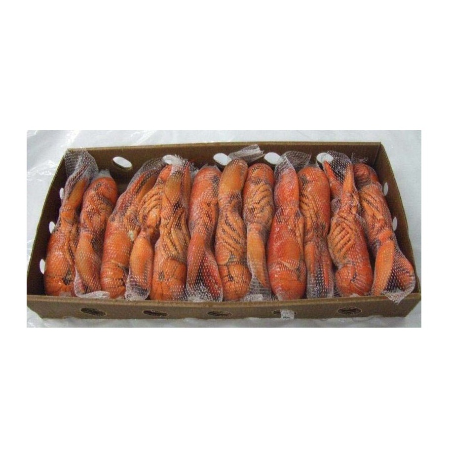 Competitive Price SPINY LOBSTER/ FROZEN RAW LOBSTER Export Standard