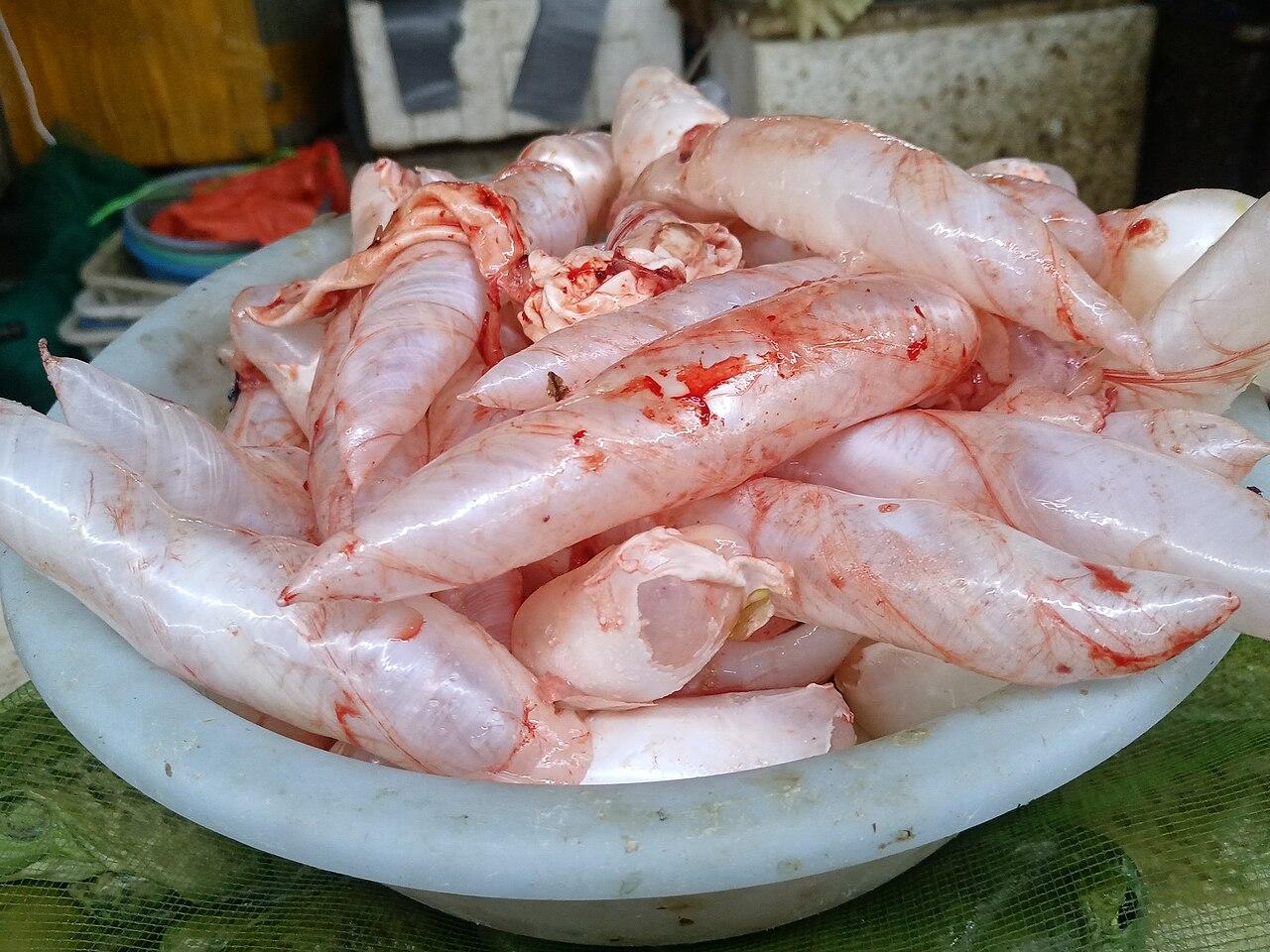Fish maw powder