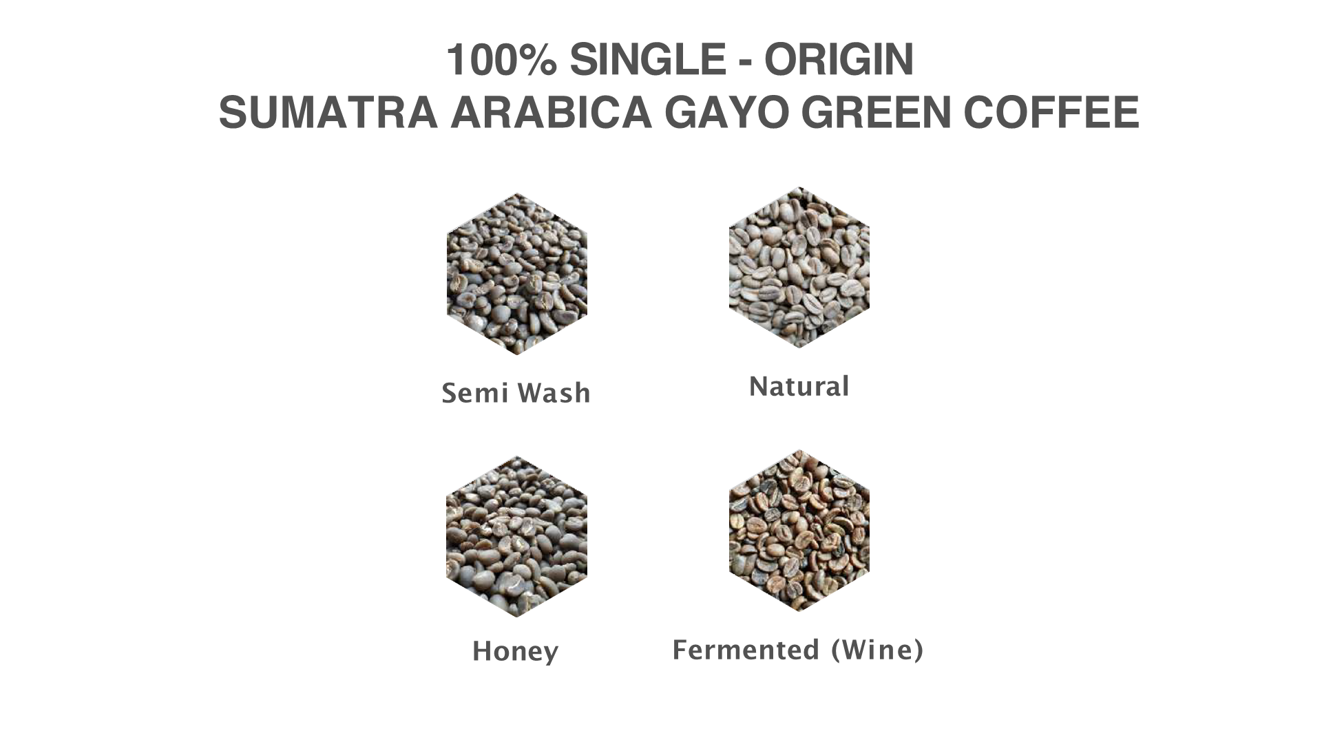Gayo Highlands Coffee Beans