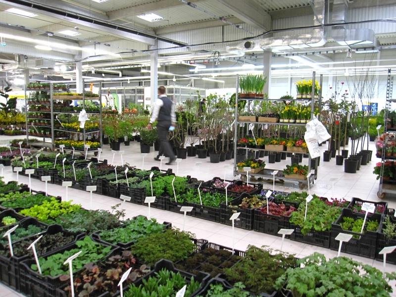 Inside DNI ZIELENI - GREEN DAYS: B2B Key Insights - 2