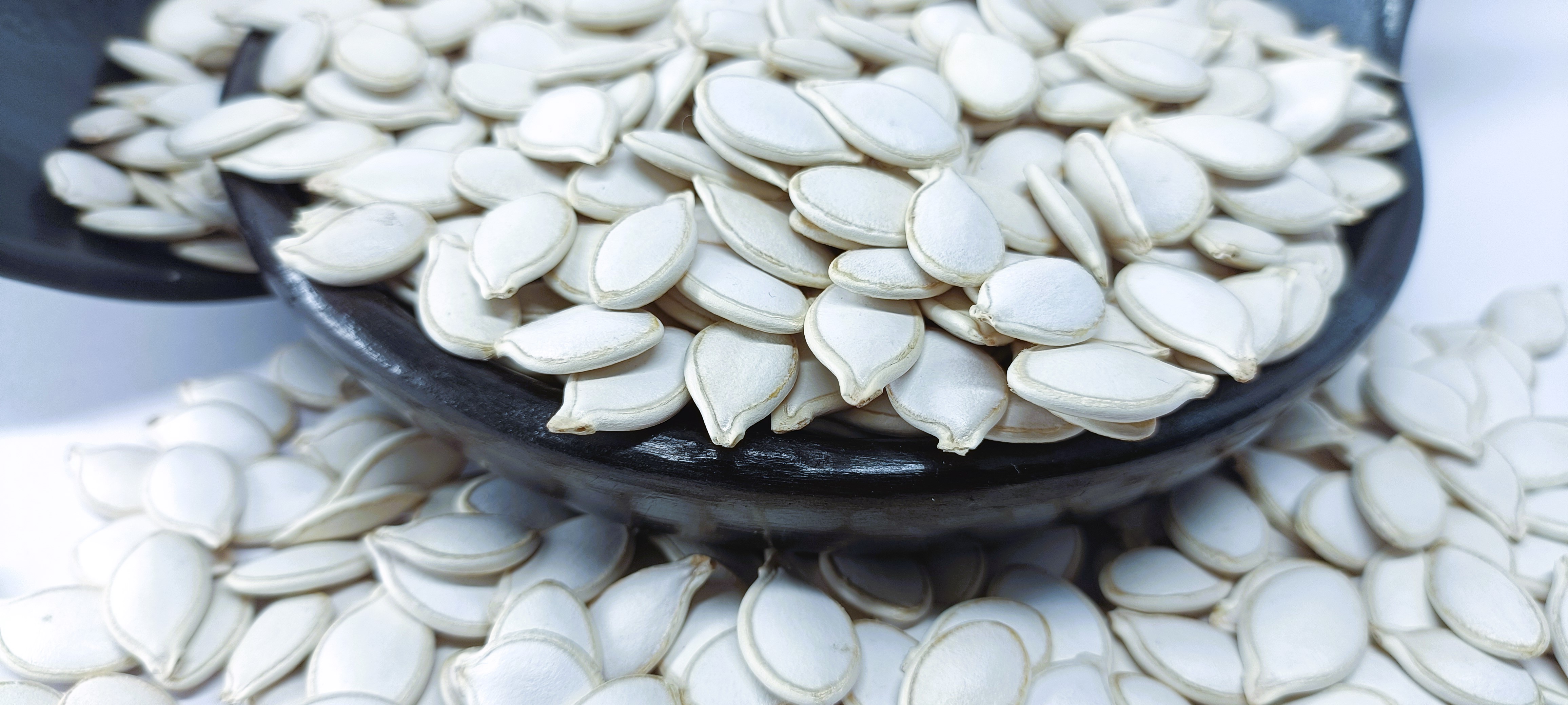 Ethiopian White Pumpkin Seeds for Export, Handpicked, Best Price, High Quality, Fresh Harvest 2024 Export Standard Bulk Quantity