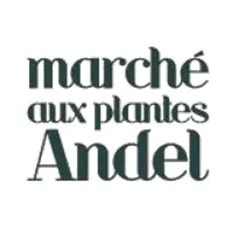 Plant Market Andel Spotlight: B2B Essentials