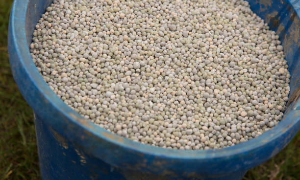 Your Expert Guide to Procuring Top-Tier Fertilizer: Top 10 Fertilizer Suppliers in Canada in August 2025