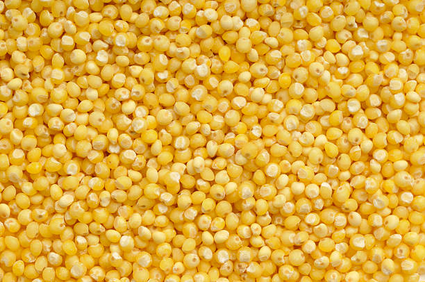 Top 5 Millet Suppliers in China in Year 2025: Navigating a Rapidly Shifting Market