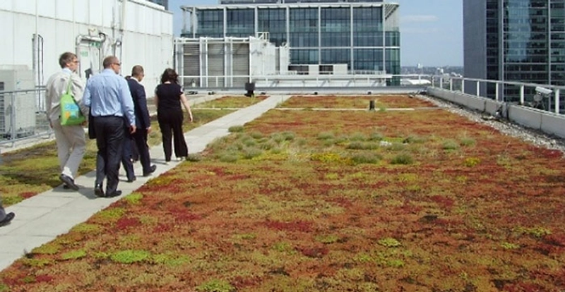 Why Build for Biodiversity Matters for B2B - 1