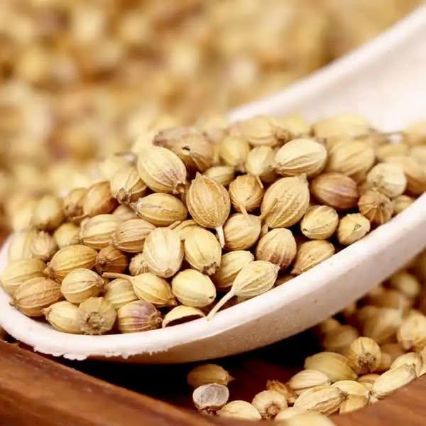 Top Grade Pure and Organic Coriander Seeds Dried Coriander Seeds Herbs and Spices at Best Price From Tanzania