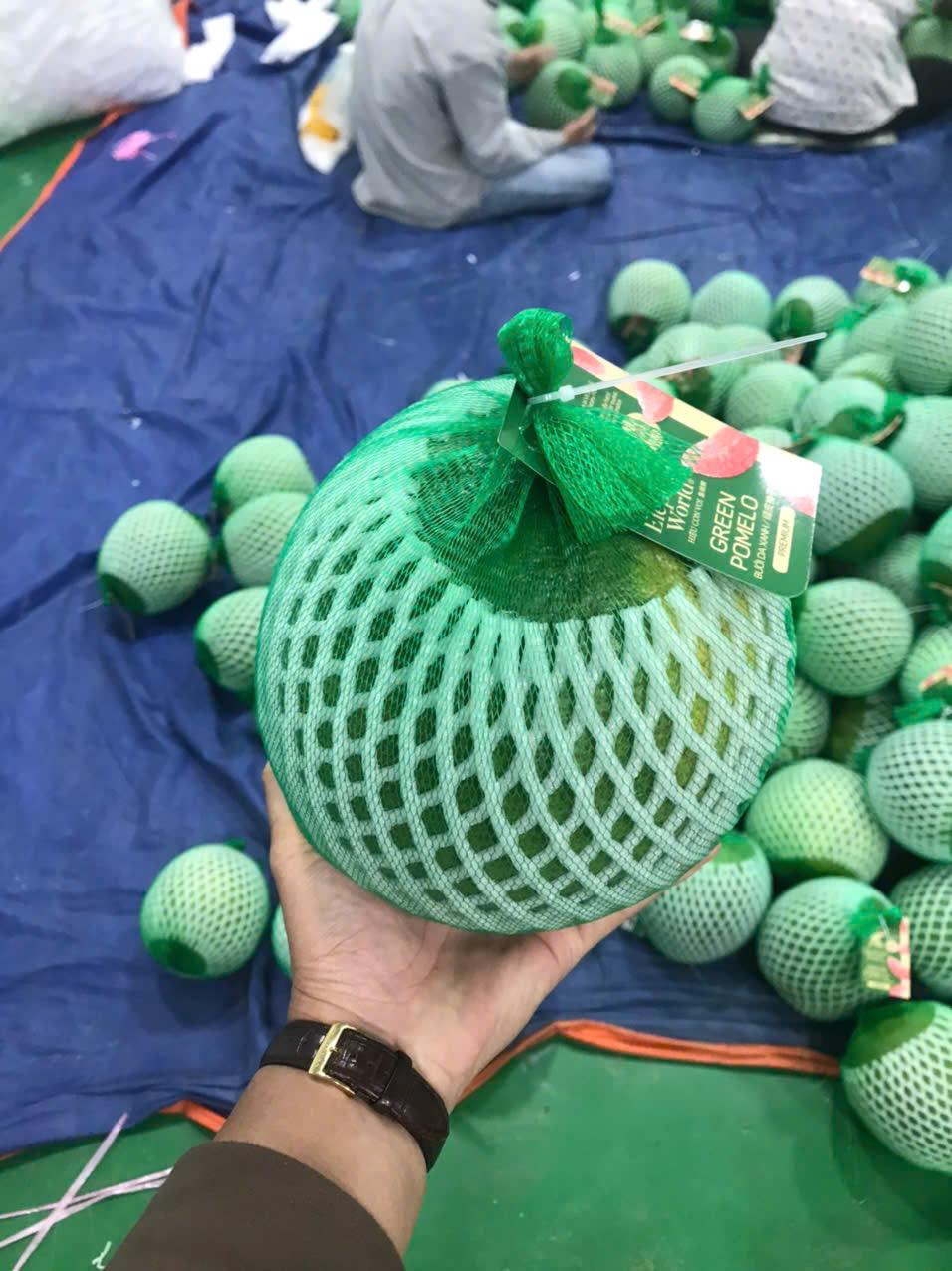 Meet the Top 5 Fresh Fruits suppliers in Vietnam - 4