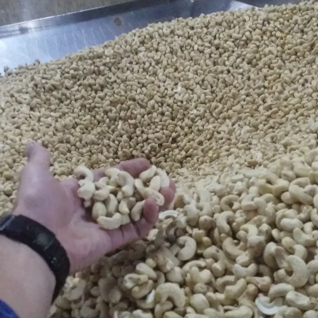 BUY W240 LARGE WHOLE CASHEW NUTS WITH BALANCED SIZE,TEXTURE AND VALUE BEST CASHEW NUTS FOR FOOD SERVICE