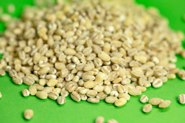 Top 5 Barley Suppliers in Netherlands in July 2025 – Market Trends, Export Insights & Verified Exporters