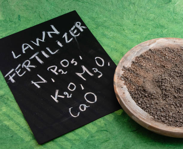 Top 5 Fertilizer Suppliers in Indonesia in July 2025