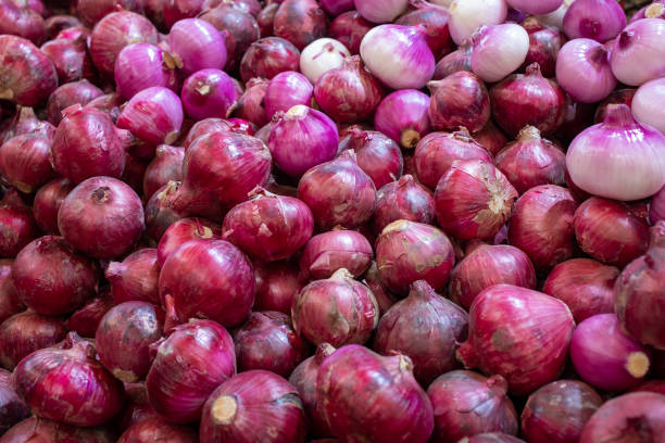 Your Expert Guide to Procuring Top-Tier Fresh Onion: Top 5 Fresh Onion Suppliers in India in Year 2025