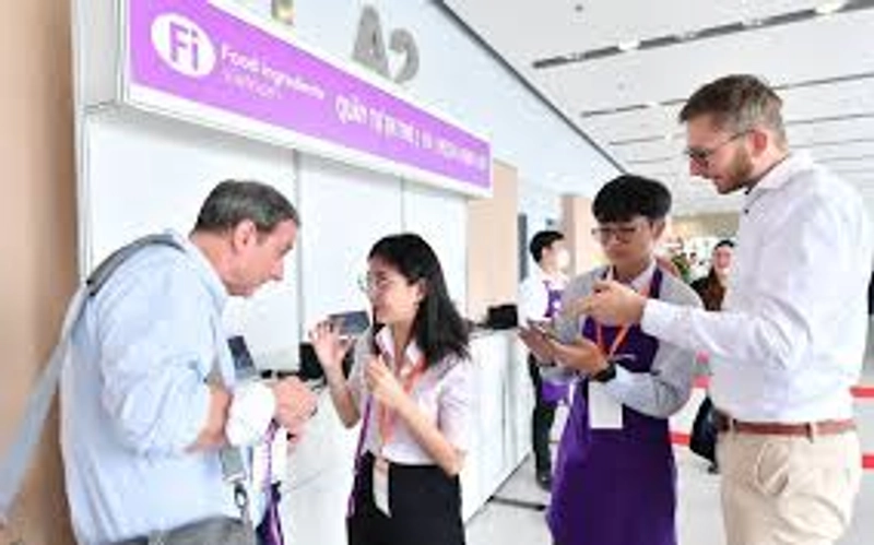 Why FI VIETNAM Matters for B2B - 2