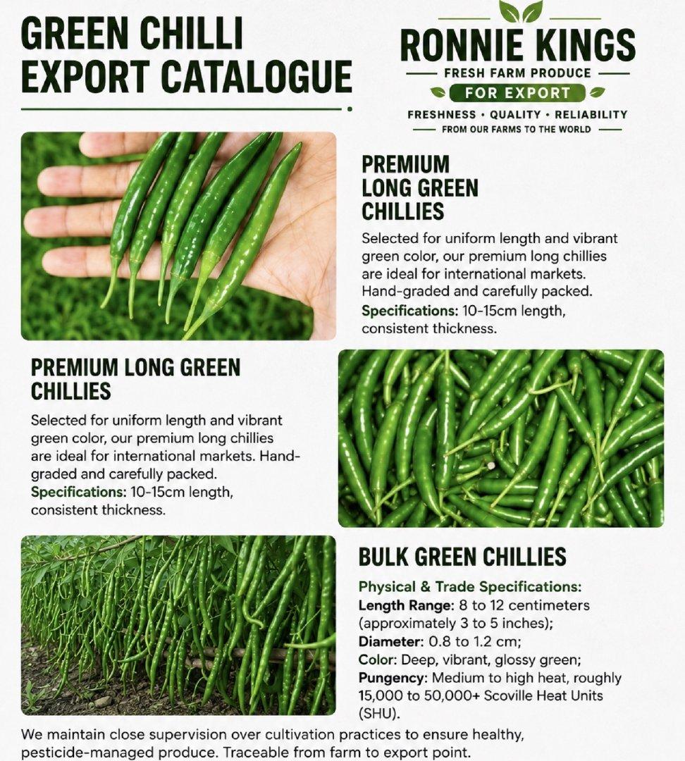 Agriculture, Food & Beverage