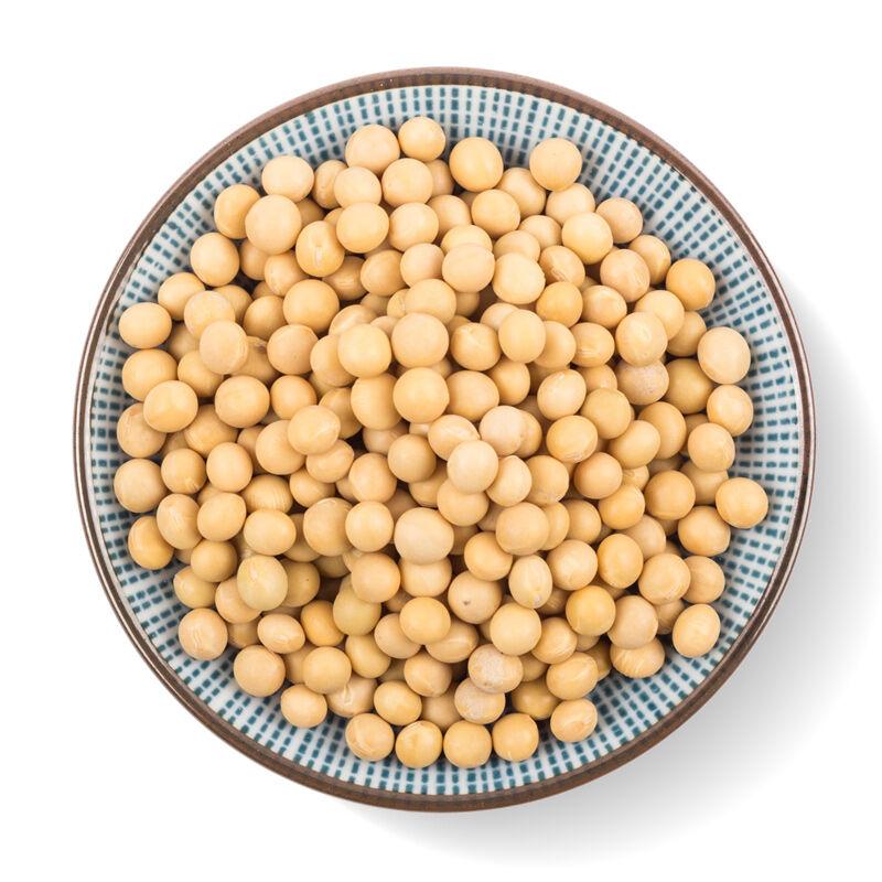 Soybean Seeds