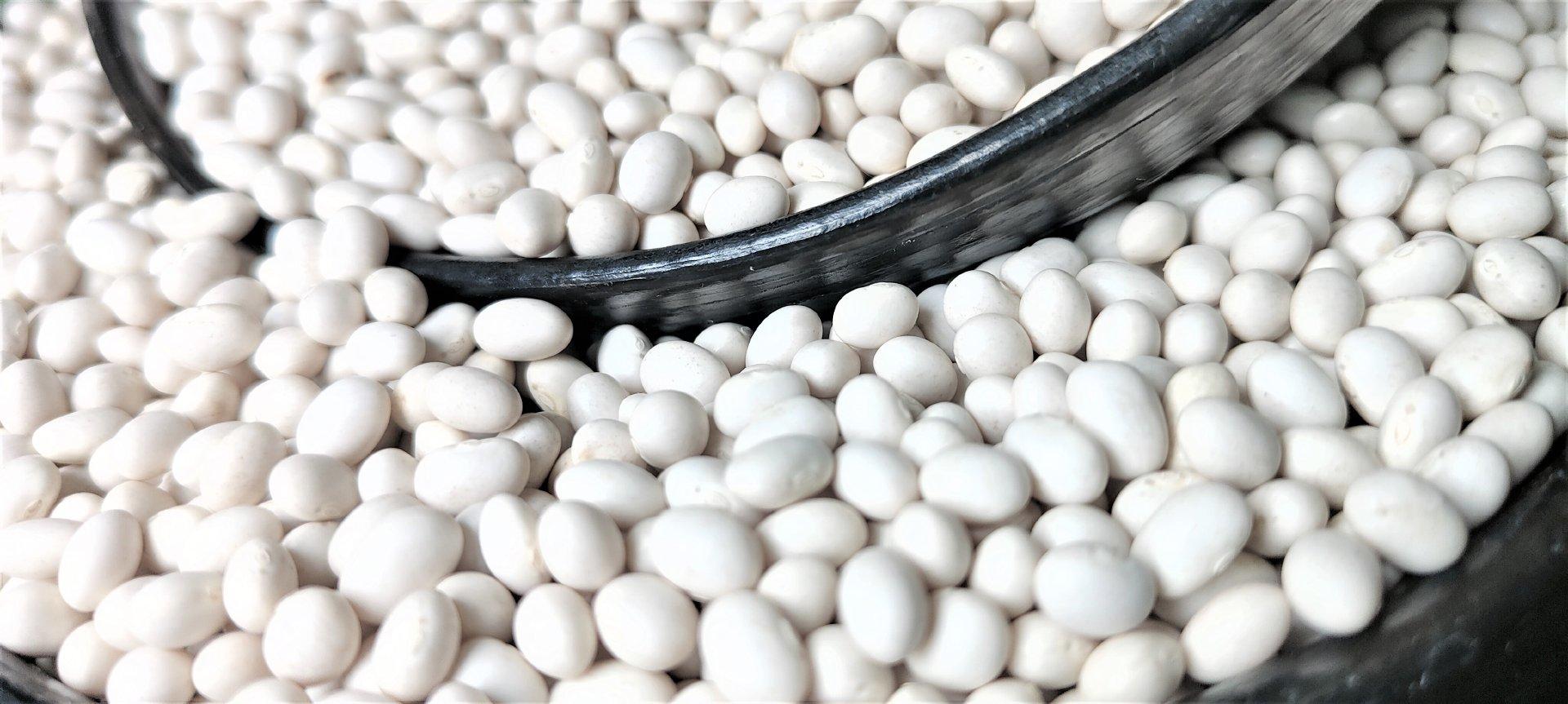 2024 Ethiopian Origin White Pea Beans Hand-Picked Round shape Wholesale Dried New Crop Available in Bulk Quantity
