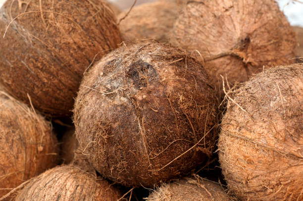Top 10 Coconut Suppliers in United Kingdom in Week 16 of 2025