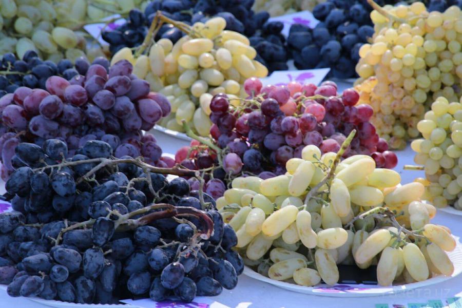 Fresh Grapes from Uzbekistan
