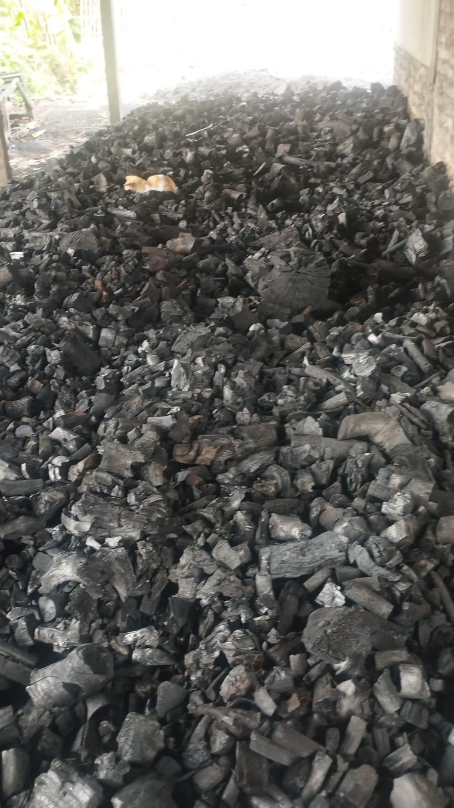 Charcoal Product Closeup