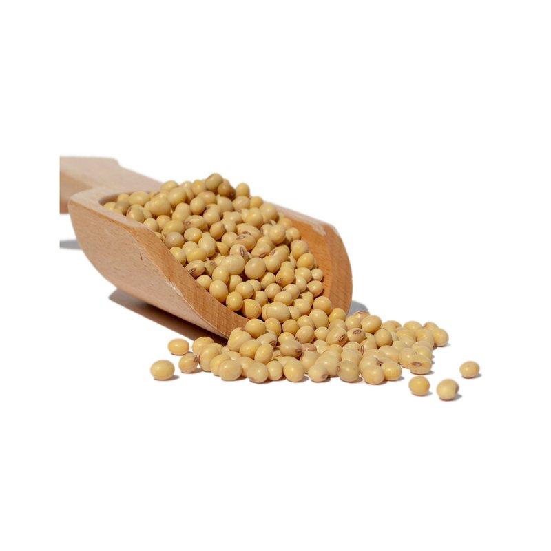 Meet the Top 4 Soybean suppliers in Germany