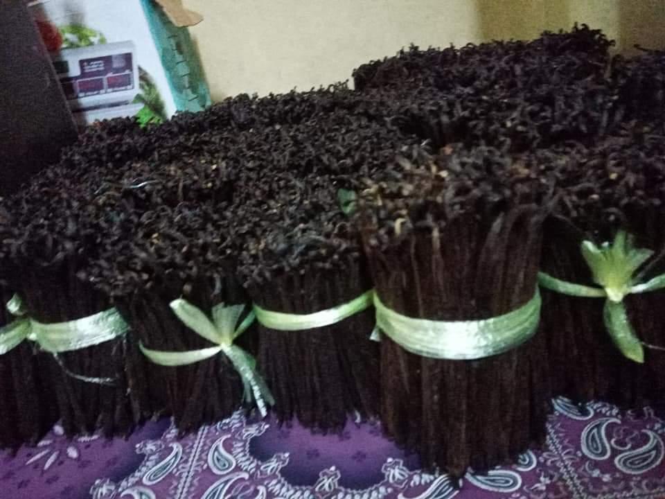 Vanilla Beans 4