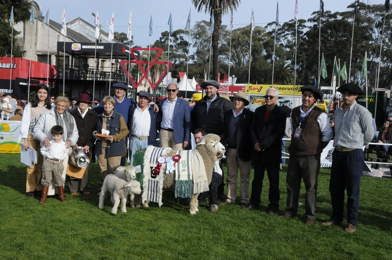 Why International Livestock Exposition and International Agro Industrial and Commercial Exhibition (Expo Matters for B2B - 2