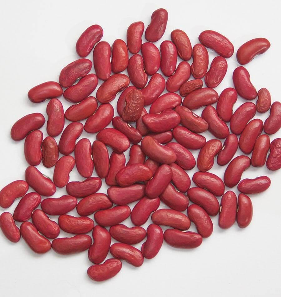 Kidney Beans Image 3