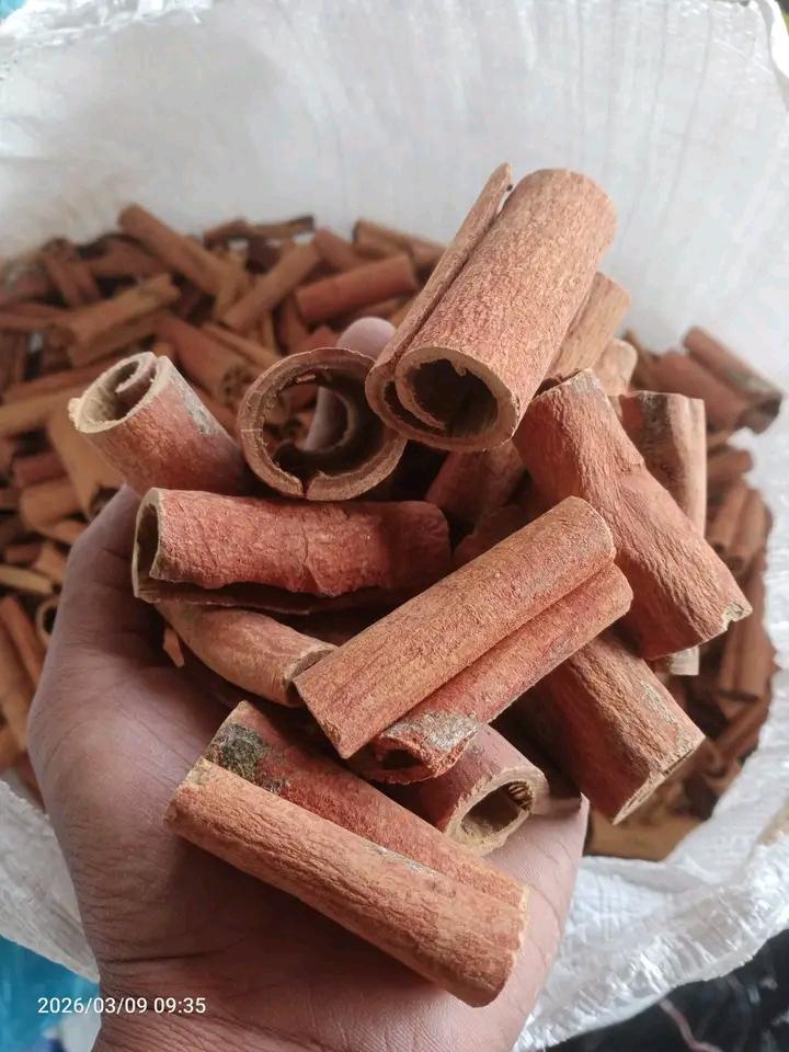 cinnamon stick