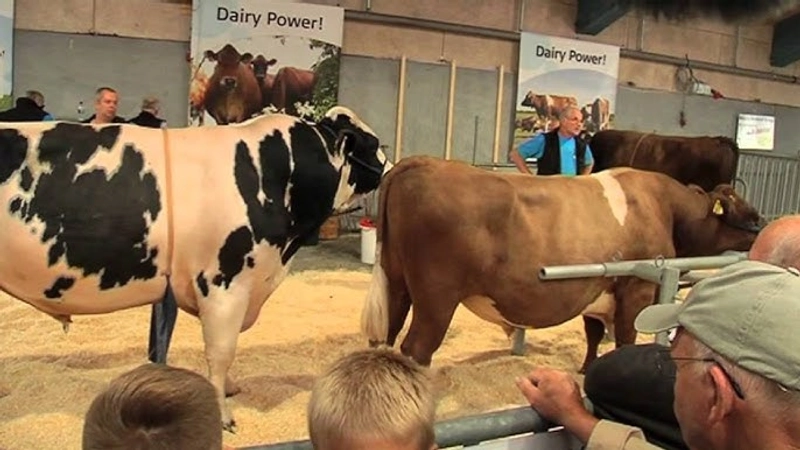 Why LANDSSKUET - NATIONAL AGRICULTURAL SHOW Matters for B2B - 2