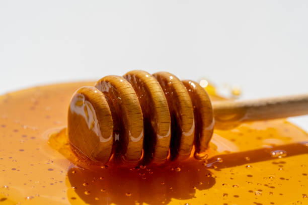 Honey, Germany, Top 7 Honey Suppliers in Germany in Quarter 3 of 2025