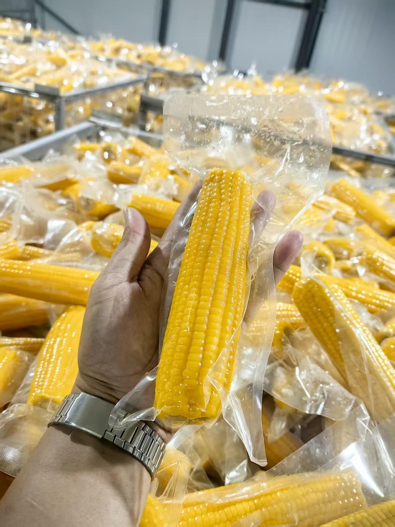 Vacuum Packed Corn