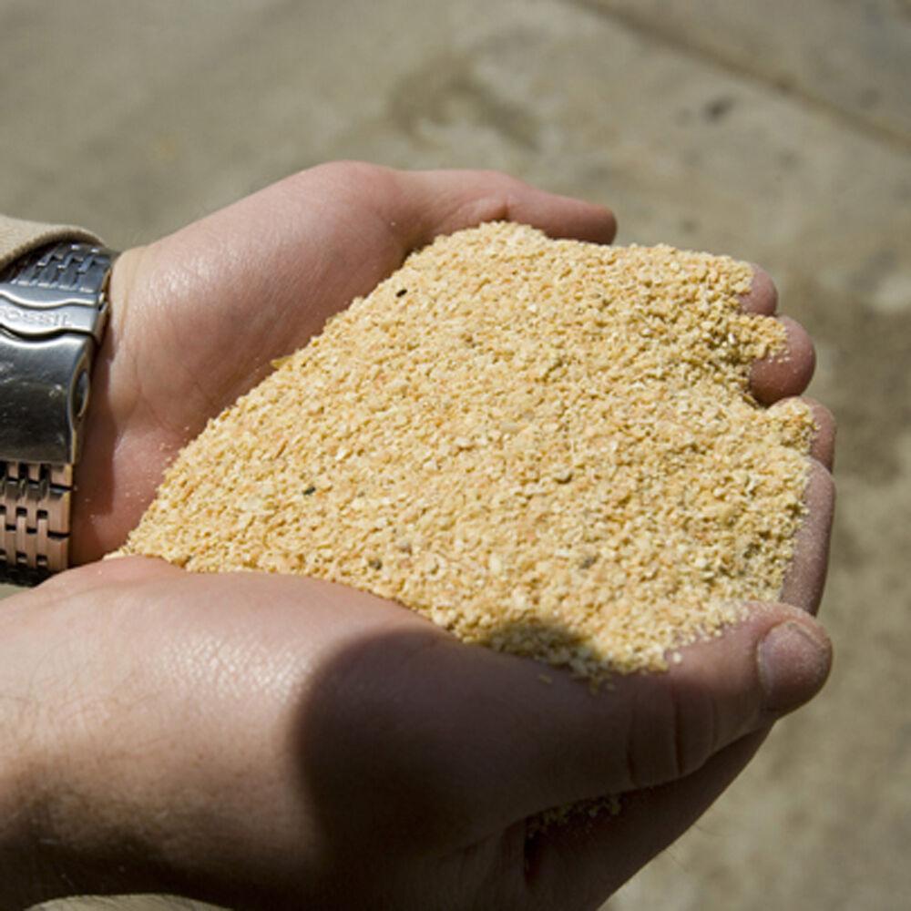 Non-Gmo Soybean Meal 49%
