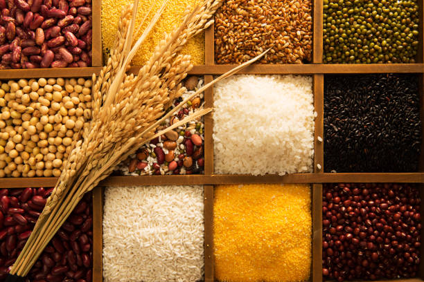 Top 7 Grain Suppliers in Malaysia in Quarter 3 of 2025