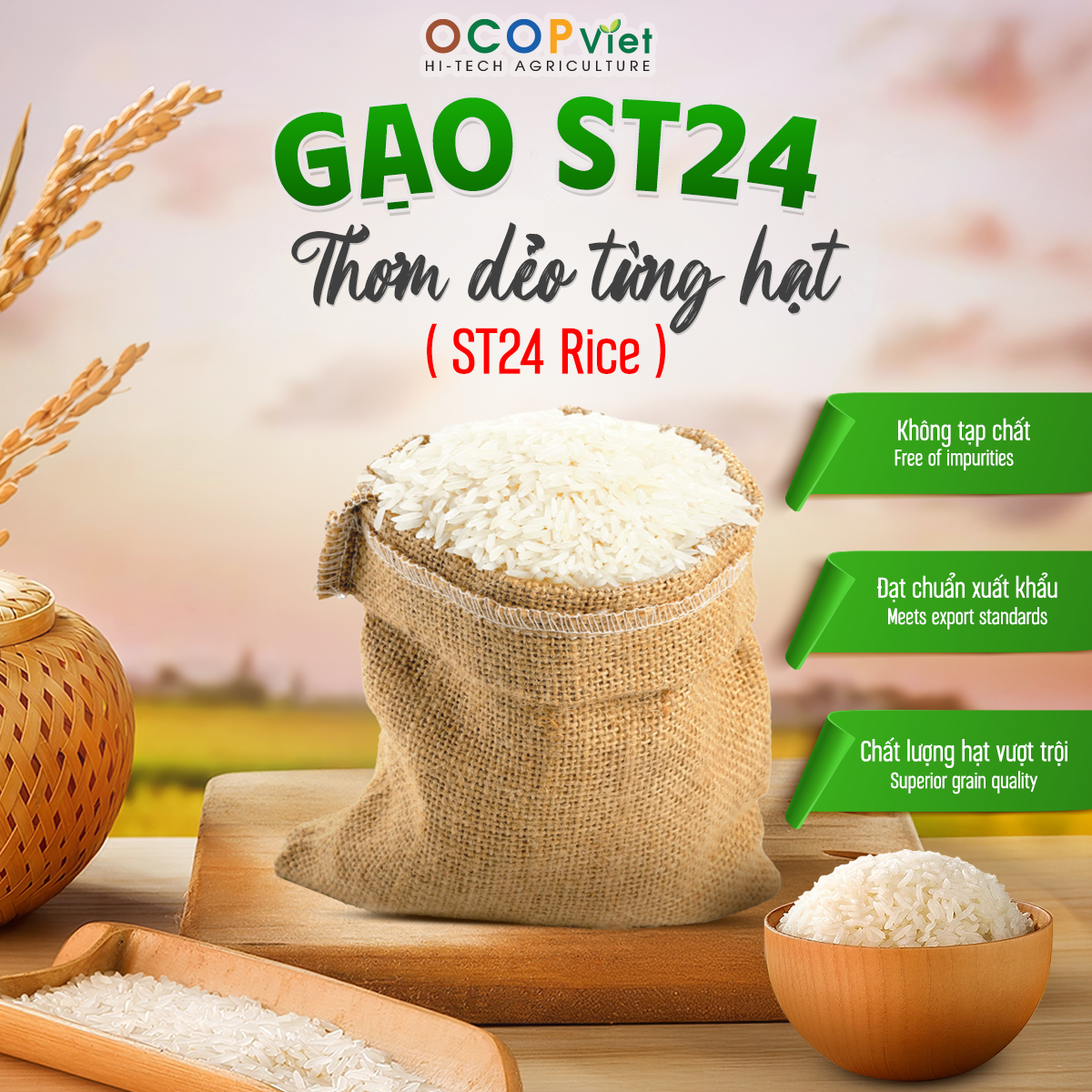 Top Verified Rice Suppliers in Vietnam: 5 Trusted Sources Reviewed - 1