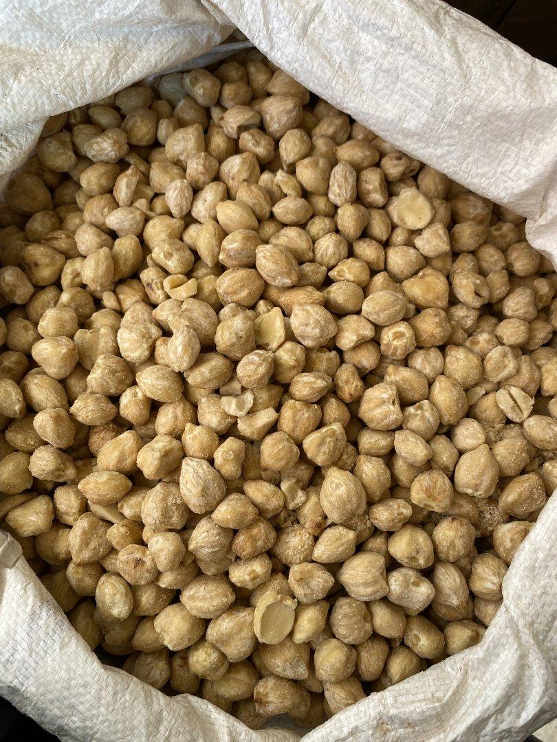 Whole Candlenut