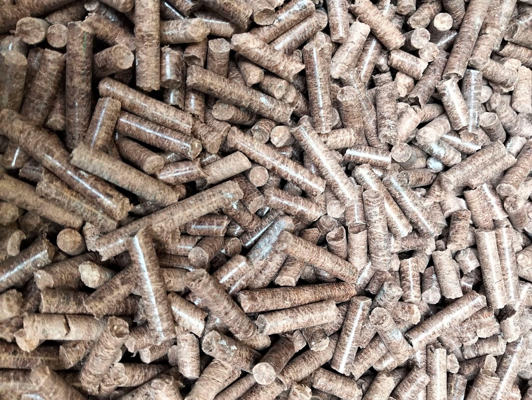 Biomass Pellets