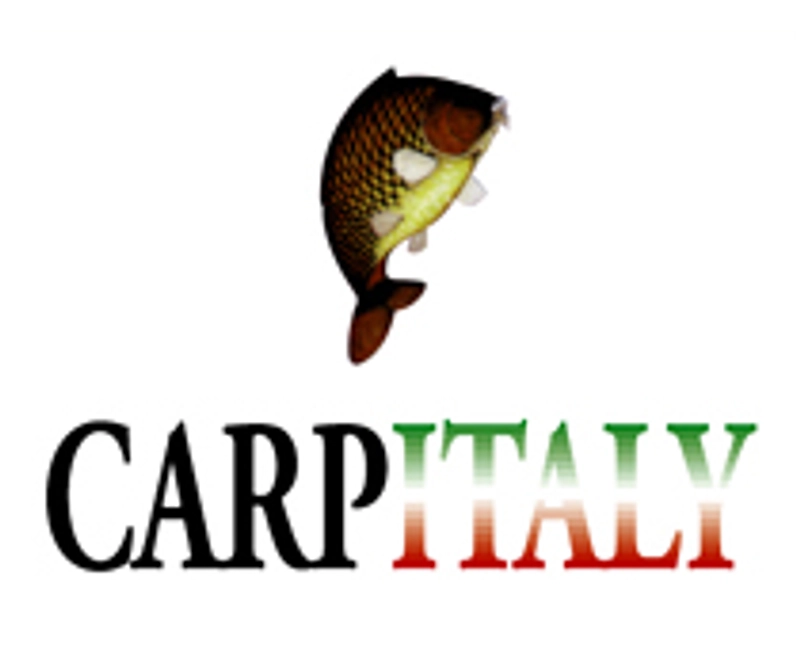 Inside Carpitaly Gonzaga: B2B Key Insights
